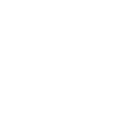 Bulb vector